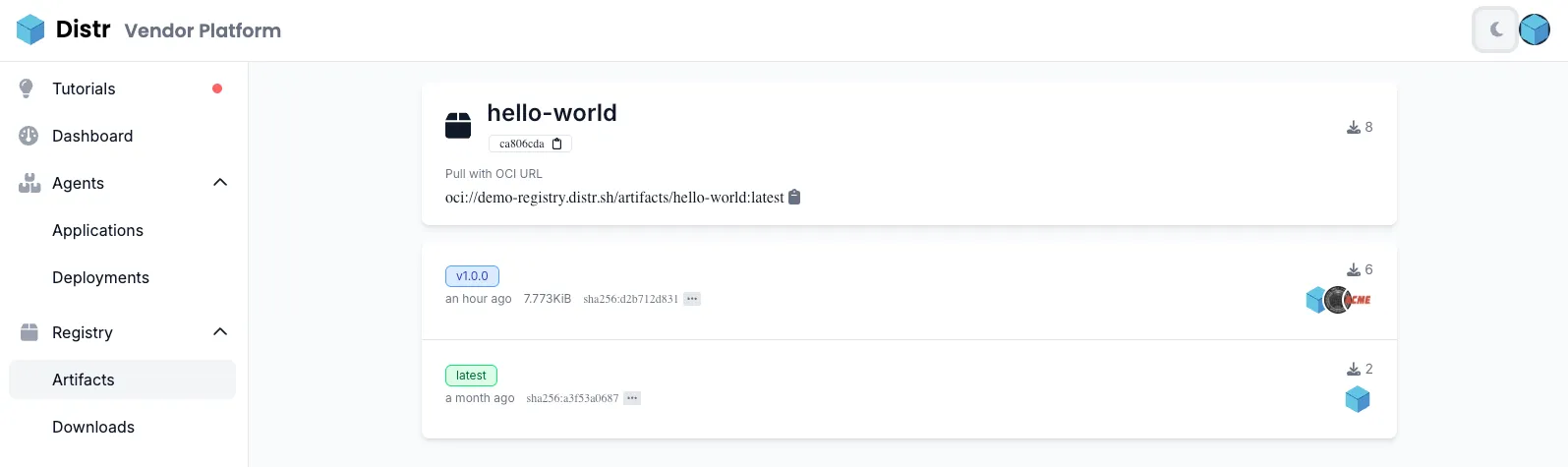 Registry artifacts view