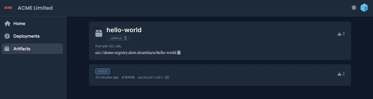 Registry artifacts view