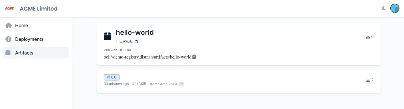 Registry artifacts view
