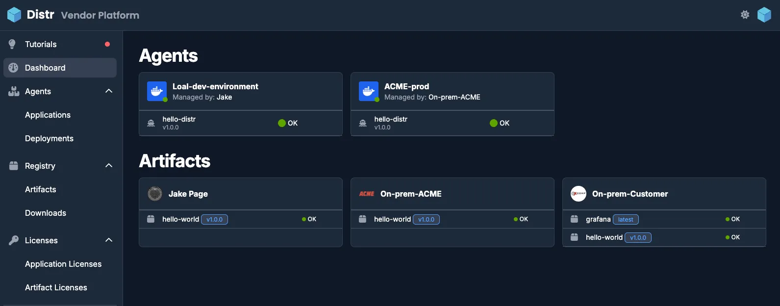 Registry artifacts view