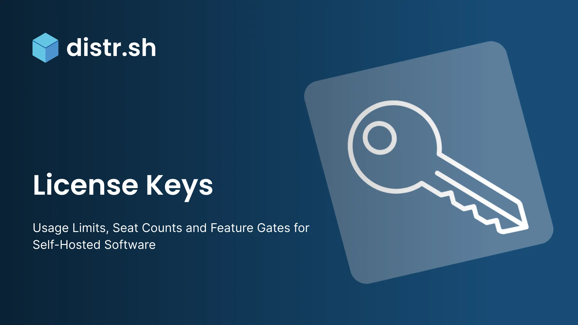 Usage Limits, Seat Counts and Feature Gates for Self-Hosted Software