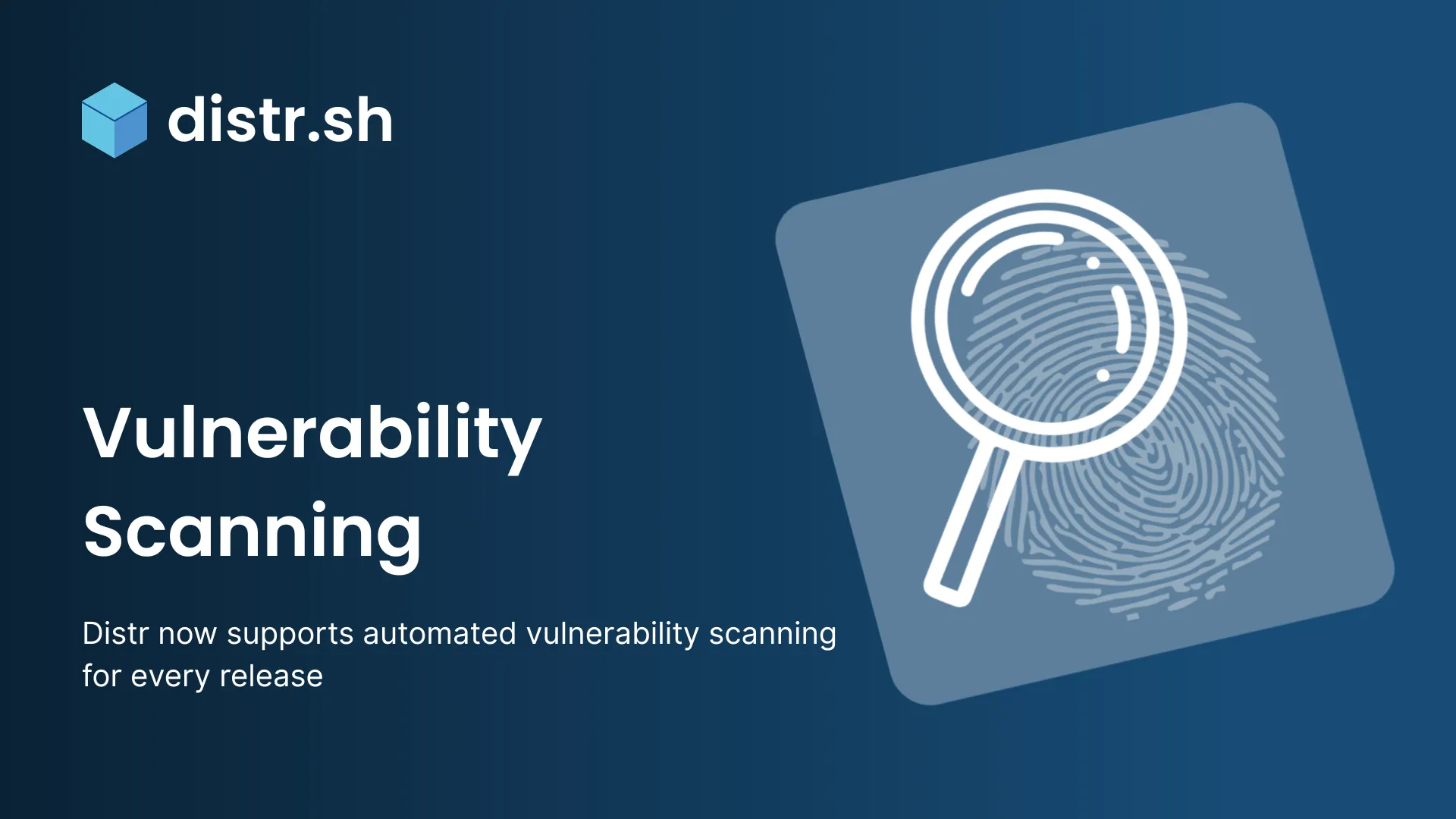 Automated Vulnerability Scanning for Every Software Release
